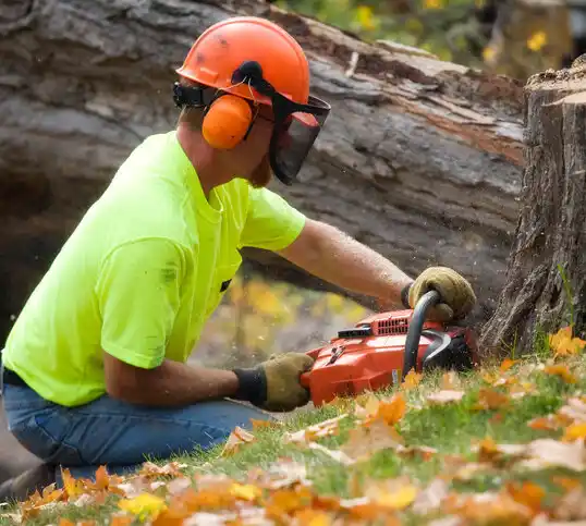 tree services Labadieville